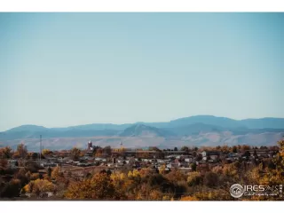 Photo #3: 1004141 Listing