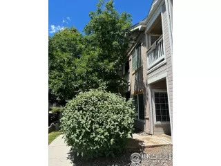 Photo #2: 1013282 Listing 