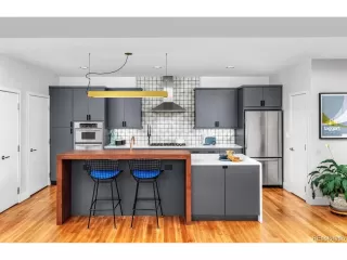 More Details about MLS # 1526451 : 1401 DELGANY ST 203 DENVER CO 80202