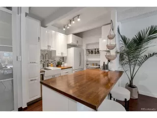 More Details about MLS # 1623509 : 1365 COLUMBINE ST 101 DENVER CO 80206