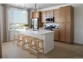 More Details about MLS # 1794359 : 11954 SOPRANO TRL LONE TREE CO 80134