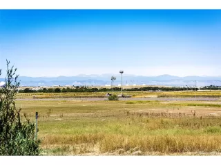 Photo #5: 1976869 Listing 