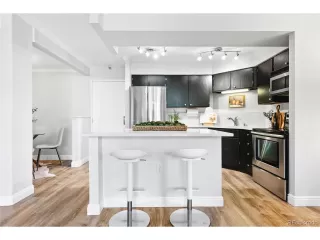 More Details about MLS # 2022709 : 1301 SPEER BLVD 207 DENVER CO 80204