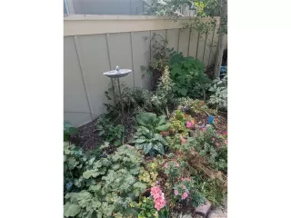 Photo #3: 2078191 Listing 