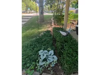 Photo #4: 2078191 Listing 