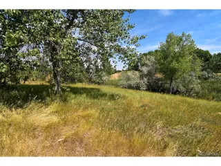 Photo #2: 2118158 Listing 