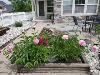 Photo #3: 2256992 Listing