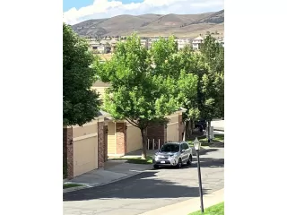 Photo #4: 2498711 Listing