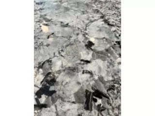 Photo #5: 2524411 Listing