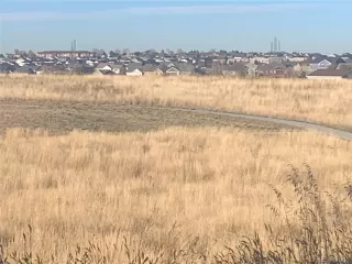 Photo #2: 2541425 Listing