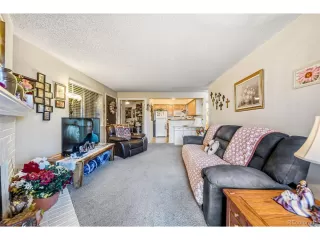 Photo #3: 2632318 Listing 