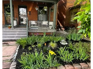 Primary Photo for MLS#: 2944842