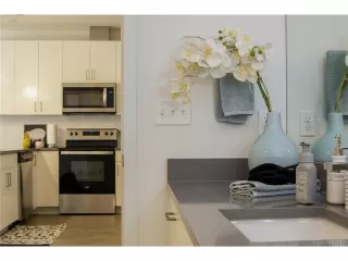 Photo #5: 3020806 Listing 