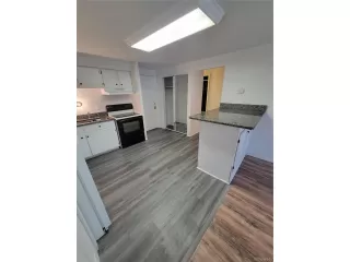 Photo #5: 3082909 Listing