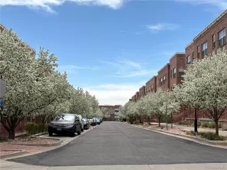 Photo #2: 3101151 Listing 