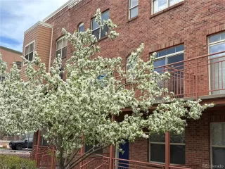 Photo #4: 3101151 Listing 