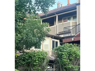 Photo #2: 3333498 Listing 