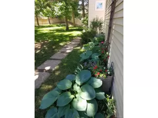 Photo #5: 3430497 Listing 