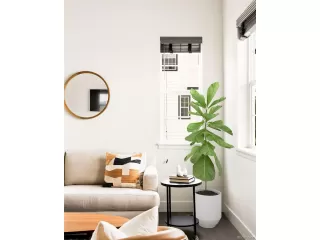 Photo #3: 3481598 Listing