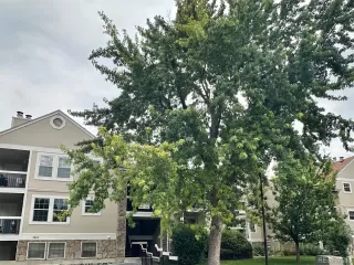 Photo #2: 3516261 Listing 