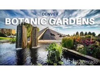 Photo #2: 3529852 Listing