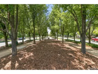 Photo #6: 3678079 Listing