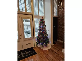 Photo #4: 3750381 Listing