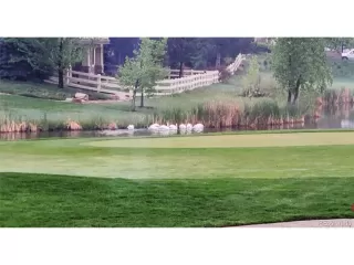 Photo #3: 3761660 Listing