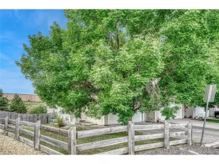 Photo #2: 3762662 Listing