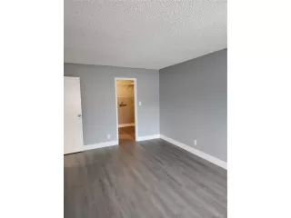 Photo #4: 3786877 Listing 