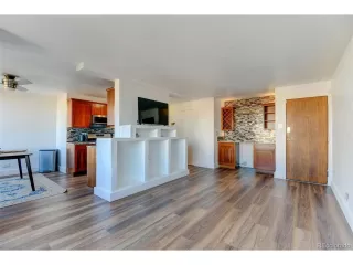 More Details about MLS # 3848992 : 789 CLARKSON ST 501 DENVER CO 80218