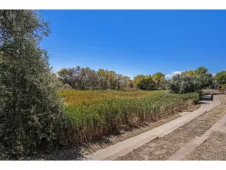 Photo #2: 4025677 Listing 