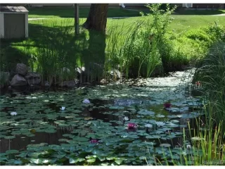 Photo #3: 4114634 Listing 