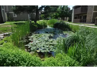 Photo #4: 4114634 Listing 