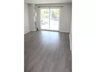 Photo #5: 4119334 Listing