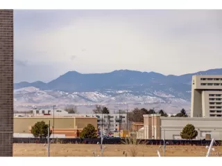 Photo #5: 4293915 Listing