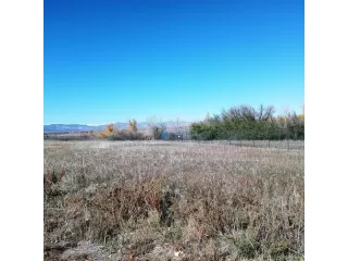 Photo #6: 4377819 Listing