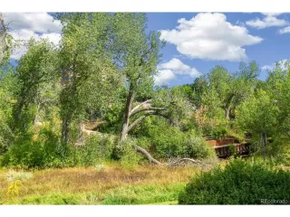 Photo #2: 4687449 Listing