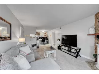 Photo #5: 4798771 Listing