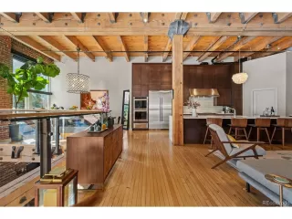 More Details about MLS # 4815258 : 1450 WYNKOOP ST 1I DENVER CO 80202
