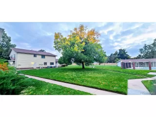 Primary Photo for MLS#: 4819940