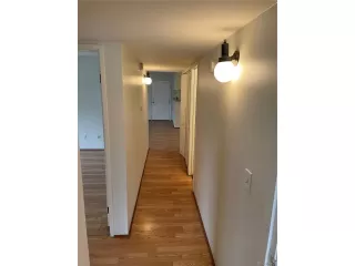 Photo #5: 5043469 Listing