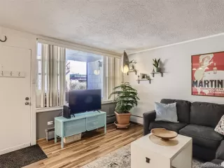 Photo #5: 5115803 Listing 