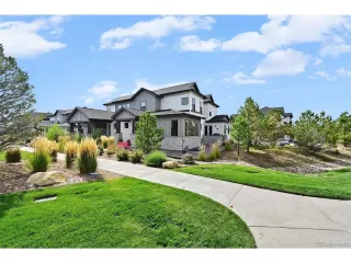 More Details about MLS # 5161483 : 7043 HOMEPLACE ST CASTLE ROCK CO 80108