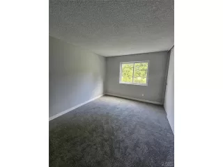 Photo #5: 5184852 Listing 