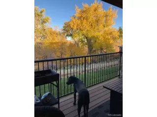 Photo #5: 5293395 Listing