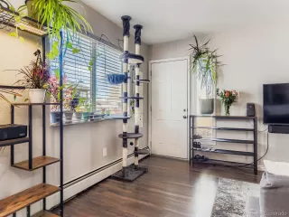 Photo #4: 5347401 Listing 