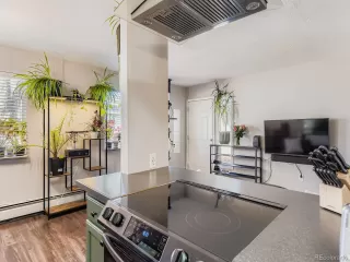 Photo #6: 5347401 Listing 