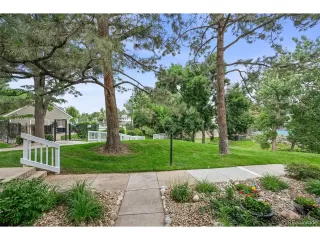 Photo #5: 5390101 Listing