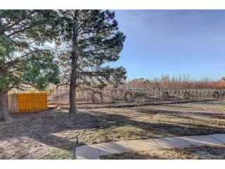 Photo #2: 5394585 Listing